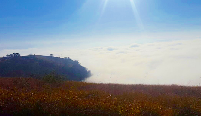 The Grassland at Monteseel